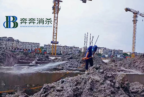 針對建筑工地的白蟻預(yù)防